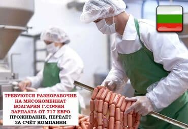 работа в англии бишкек: Работа - Болгария, Мед. страхование — 1
