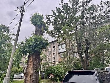сдается ком: 3 комнаты, Риэлтор, Без подселения, С мебелью полностью — 1