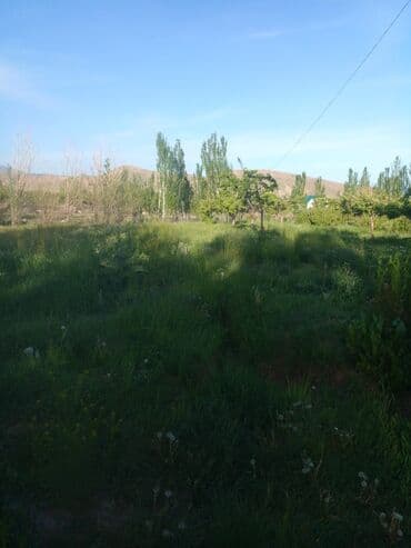 уборка садового участка: СРОЧНО ПРОДАЮ участок 1,5гаили меняю на квартиру в Бишкеке. Участок — 6