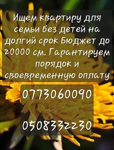 Недвижимость: Ищем квартиру для семьи без детей на долгий срок. Бюджет до 20 000 — 2