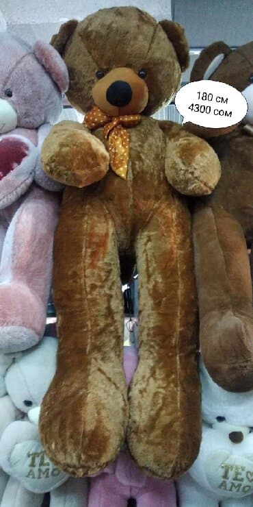 доктор игрушка: Мишка размеры 200 см Большие качественные мишки по доступным ценам!! — 2