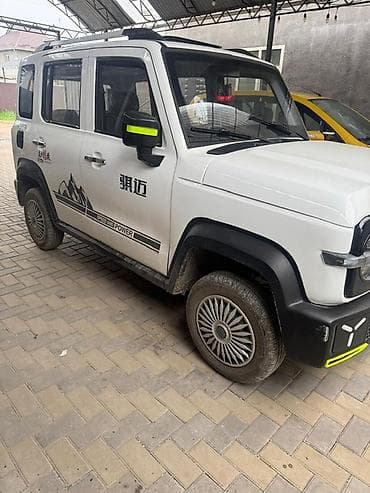 mini ev: Компактный электрический внедорожник (4 двери, 4/5 мест). Основные — 3