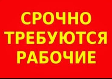 удаленная работа без опыта и вложений с ежедневной оплатой: Требуется Разнорабочий на производство, Оплата Еженедельно, Без опыта — 1