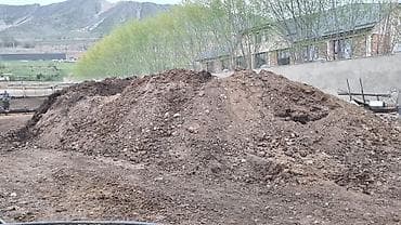 Перегной для сада и огорода. Навоз. Самовывоз. Цена договорная