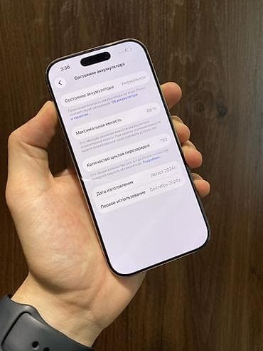 mini 4 pro: IPhone 16 Pro, Б/у, 256 ГБ, Natural Titanium, Защитное стекло, Чехол, 88 % — 4