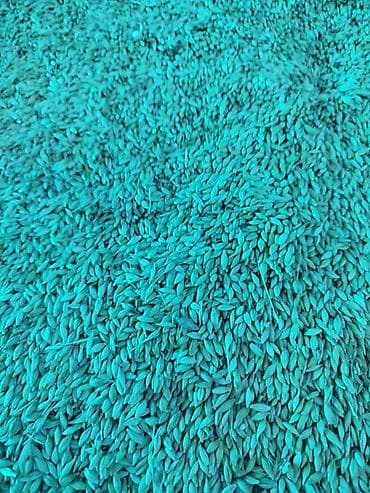 джутовый коврик: Продаю ячмень22,5 местный. для корма — 4