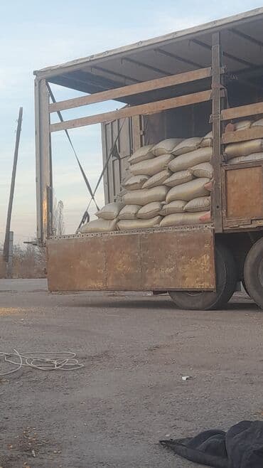 капсула порошок стиральный: Кукуруза Оптом, Самовывоз, Бесплатная доставка, Платная доставка — 3