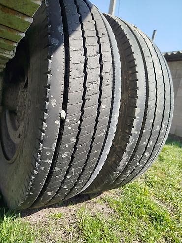 бортер: Прицеп, Самосвал — 2