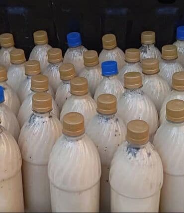 масло сыр база бишкек график работы: Бээнин сүтүнөн жасалган нукура кымыз сатылат 1 литри 300 сомдон — 4