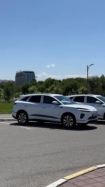 byd delphin: BYD Sea Lion 06: 2025 г., Автомат, Электромобиль, Кроссовер — 3