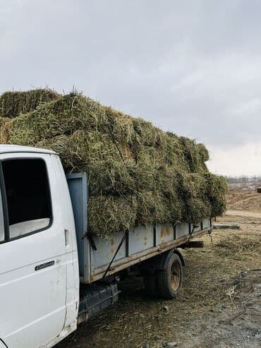 hyundai getz 2: ГАЗ GAZel: 2006 г., 2.4 л, Механика, Бензин — 2