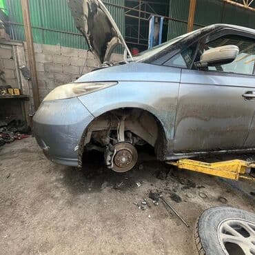 elysion: Без выезда — 3