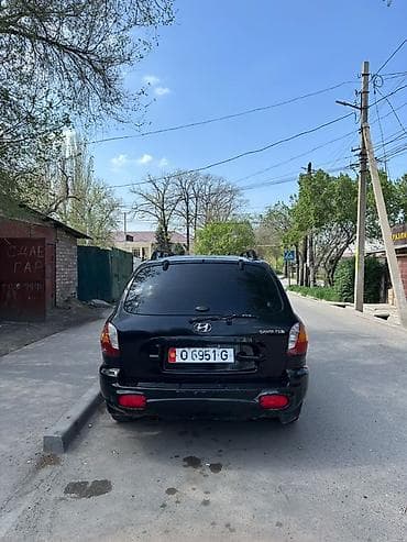 сары булун: Hyundai Santa Fe: 2002 г., 2.4 л, Кол менен иштөөчү, Бензин, Кроссовер — 2