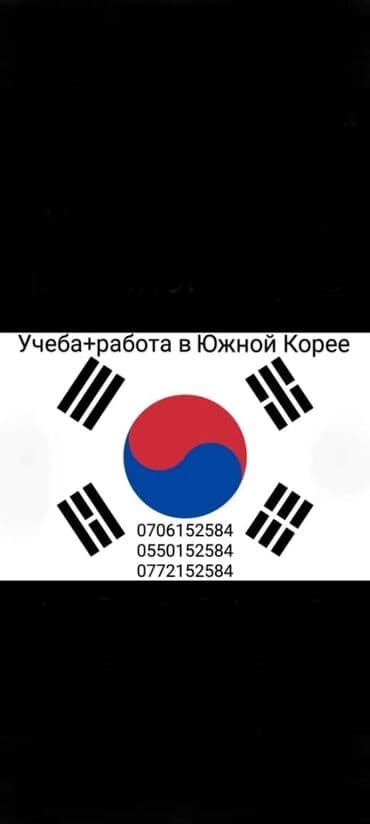 Языковые курсы Английский, Арабский, Китайский Для взрослых, Для детей at lalafo.kg Языковые курсы Английский, Арабский, Китайский Для взрослых, Для детей