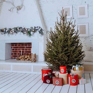 тянь шаньскую ель: Шикарная Живая ель на Новый год! В наличии голубые и зеленые ели! — 1