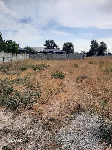 8 соток, Курулуш, Кызыл китеп, Сатып алуу-сатуу келишими — 1