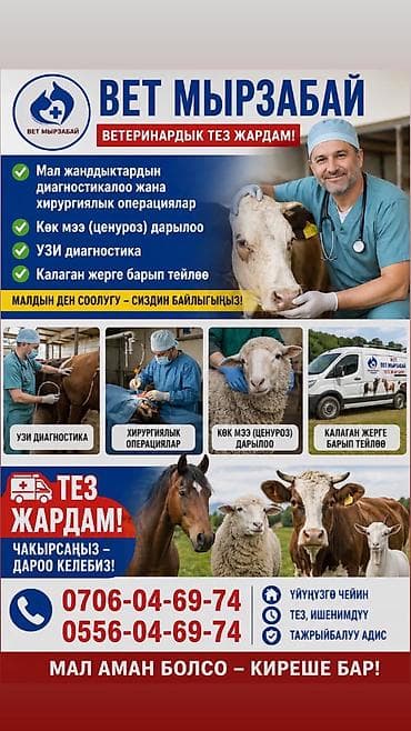 ветеринарная аптека: Вет врач, хирург делаем любые сложные операции — 1