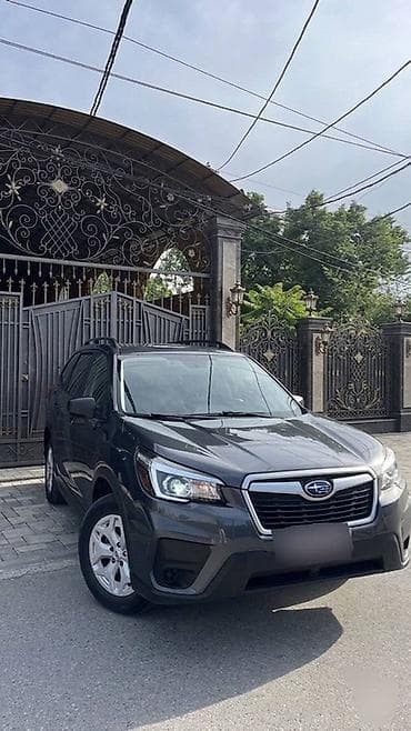 forester sg5: Subaru Forester: 2020 г., 2.5 л, Автомат, Бензин, Кроссовер — 2