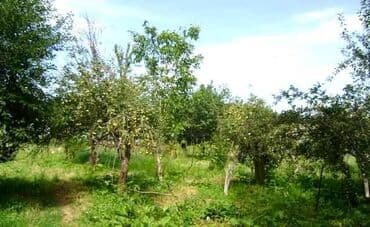 срочно продаю в связи с переездом: 65 соток, Для бизнеса — 2