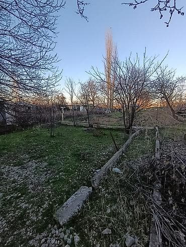 Жер тилкелери: 6 соток, Курулуш, Кызыл китеп — 3