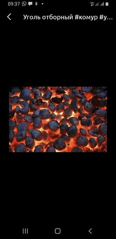 электрический матрас с подогревом бишкек: Принимаю уголь. Мелкие. Пыл.штб.остатки угля. Даром. Само вывоз — 1