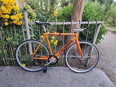 велесепе: Фикс-байк Tsunami (single-speed/фикс) - Рама и вилка: алюминий — 1