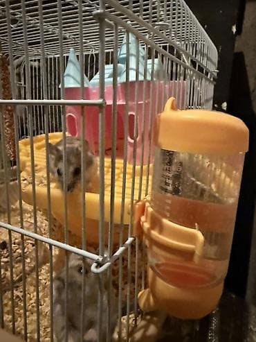 Кемирүүчүлөр: Хомяки и клетка с кормом Клетка для мелких грызунов — 8