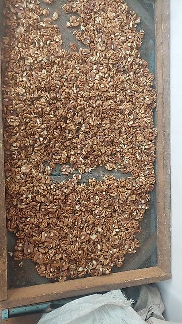 уголь цена бишкек: Грецкий орех очищенные сорт новот чёрный адрес ошская область — 1