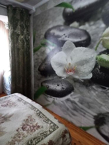 квартиры старый толчок: 3 комнаты, 83 м², Элитка, 5 этаж, Евроремонт — 1