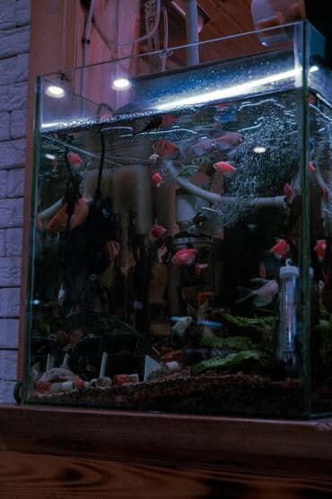 школа конструирования и моделирования одежды: Фотосъёмка | Студия | Love story — 8