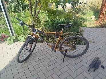 горный мото: Горный велосипед, Рама L (172 - 185 см), Сталь — 4