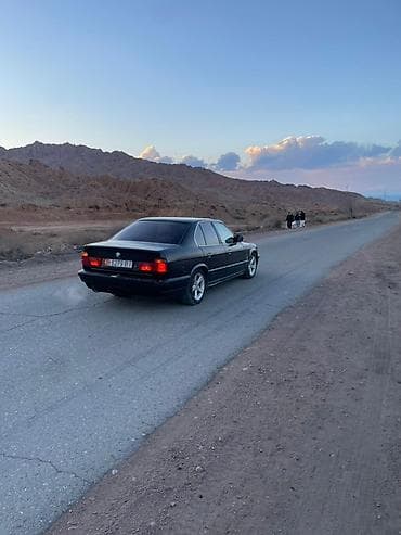 гофра е34: BMW 5 series: 1990 г., 2 л, Седан — 3