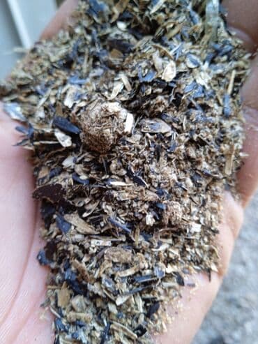 собаки рынок в бишкеке цены: Продаю рыбную муку два вида Российская и Казахстанская подсолнечный — 5