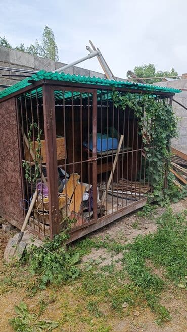 домик для собаки купить: Алабай, 11 месяцев, Самец, С родословной — 2