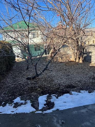 участок в селе джал: 8 соток, Для сельского хозяйства, Красная книга, Тех паспорт, Договор купли-продажи — 3