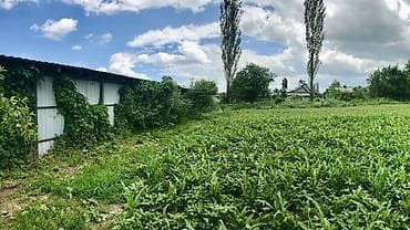 Недвижимость: 15 соток, Для строительства, Красная книга, Тех паспорт, Договор купли-продажи — 3