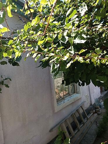 Дом с времянкой и удобствами, с мебелью. Участок 3 сотки, ухоженный at lalafo.kg Дом с времянкой и удобствами, с мебелью. Участок 3 сотки, ухоженный