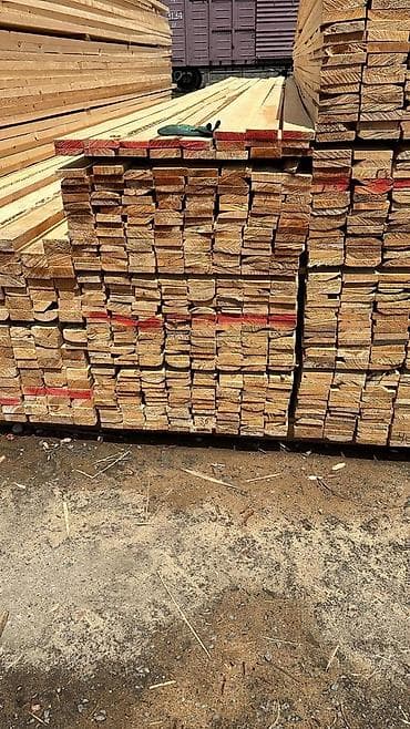 тополь карагач: Все размеры есть
4-6м — 6