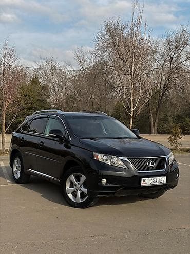 Lexus: Lexus RX: 2009 г., 3.5 л, Автомат, Газ, Внедорожник — 2