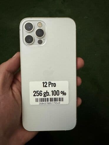Уюлдук телефондор жана аксессуарлар: IPhone 12 Pro, Колдонулган, 256 ГБ, Күмүш, Коргоочу айнек, 100 % — 1