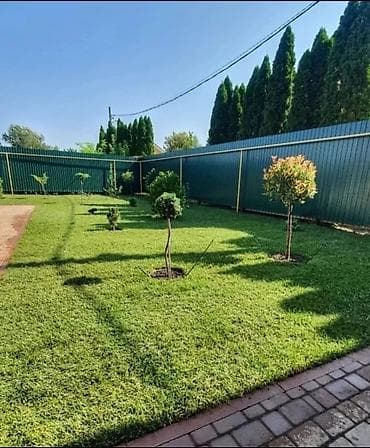 Орхидеи: 🌿 Газон 🌿 Посев газона 🌿Сеем газон 🌿 Ландшафтный дизайн 🌿 — 1