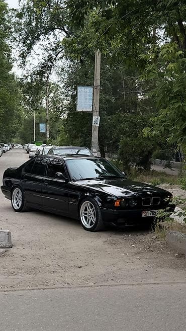 BMW 5 series: 1990 г., 2.5 л, Механика, Бензин, Седан