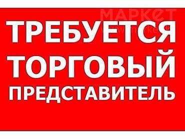 Требуется Торговый агент, График: Шестидневка, 3-5 лет опыта, Оплачиваемый отпуск, Полный рабочий день