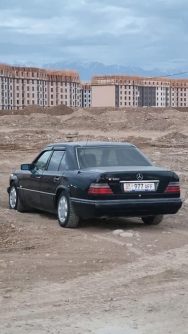 Mercedes-Benz E-Class: 1993 г., 2.2 л, Кол менен иштөөчү, Бензин, Седан