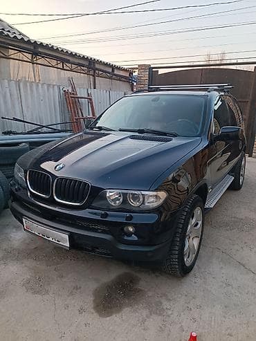BMW X5: 2006 г., 3 л, Автомат, Дизель, Кроссовер