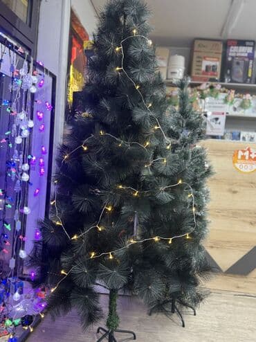 мини сейф для денег: Новогодный елка высота 1,80 ачып коюш керек жакшылап и все скидка — 1