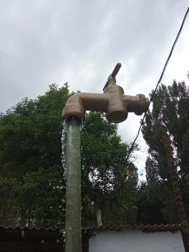 животные птицы: Үй жана бакча үчүн декор, Өзү алып кетүү — 9