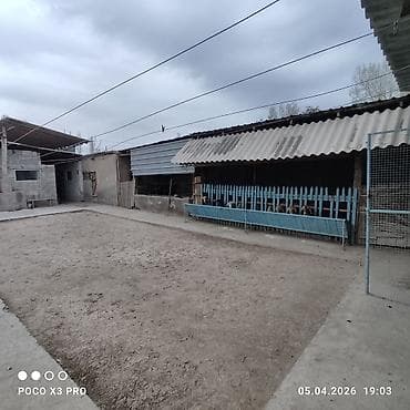 дом пр: Продаётся жилой дом с большим двором и хозпостройками. хороший торг! — 10