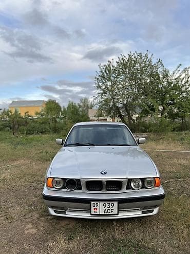 BMW 5 series: 1993 г., 4.6 л, Механика, Бензин, Седан