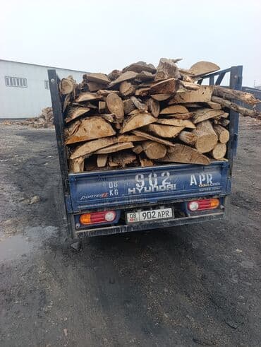 ыссык коль: Портер такси портер такси — 1